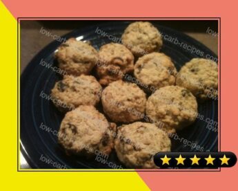 Neece's Delicious Low Carb High Fiber Oatmeal Cookies recipe